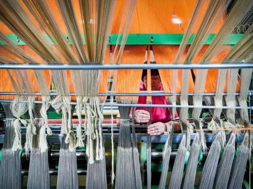 美國出口管制清單新增14類技術，特種紡織品貿易面臨新挑戰